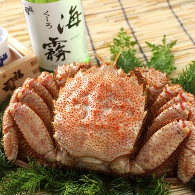 釧路限定酒「海霧」と毛がに400gのセット ふるさと納税 酒 かに F4F-0543