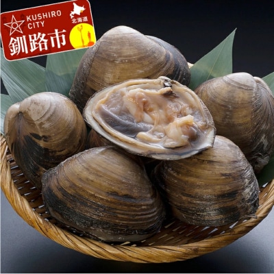 【天然!!!】活北寄貝4.0kg前後 ふるさと納税 ホッキ 北寄 F4F-0398