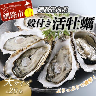 【ぷりっぷりで濃厚!】釧路管内産【活】牡蠣(大)20個 ふるさと納税 牡蠣