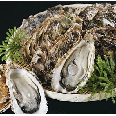 【ぷりっぷりで濃厚!】釧路管内産【活】牡蠣(小)12個 ふるさと納税 牡蠣 F4F-8911