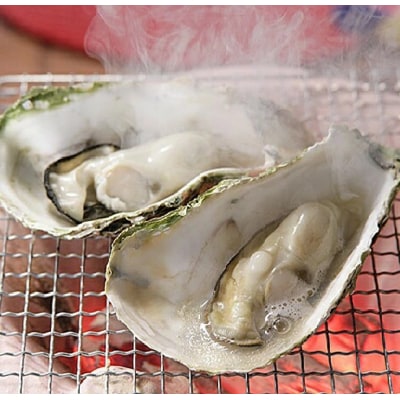 【ぷりっぷりで濃厚!】釧路管内産【活】牡蠣(小)12個 ふるさと納税 牡蠣 F4F-8911