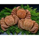 北海道産 ボイル毛蟹 3尾 1.0kg ふるさと納税 かに 蟹 F4F-5332