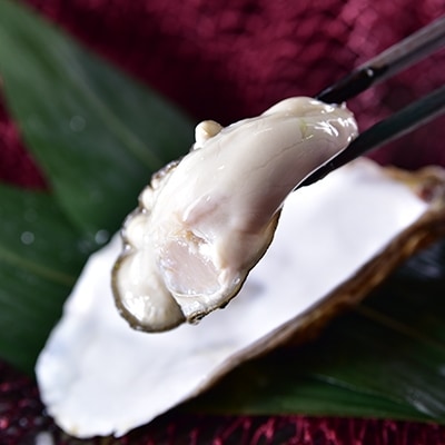 鮮度抜群!釧路管内産濃厚活生牡蠣 3kg 大サイズ 殻付き