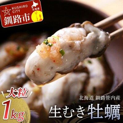 釧路管内産「生食用」むき大粒牡蠣500g×2パック 【10月以降出荷】 F4F-0067