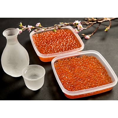 海のルビー いくら昆布醤油漬け 240g×2 ふるさと納税 いくら F4F-0056