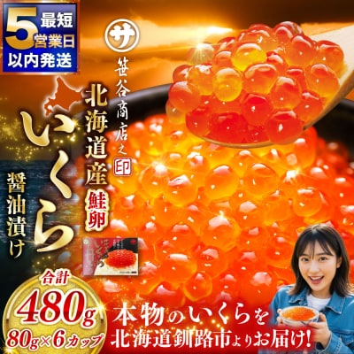 【5営業日以内発送】新物 北海道産 いくら 醤油漬け 80g×6カップ 計480g