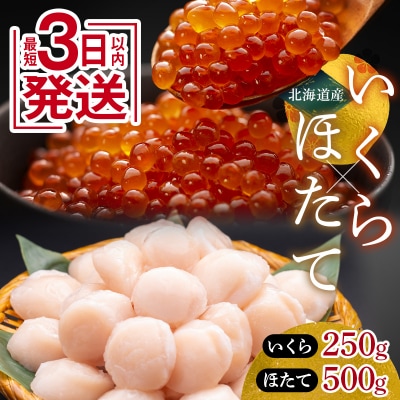 新物 北海道産いくら250g&北海道産ほたて500g
