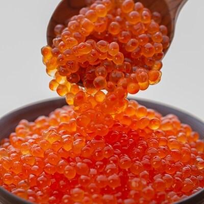 北海道産 いくら醤油漬250g ササヤのたらこ500gセット F4F-8919