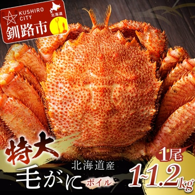 特大級毛がに1.0kg~1.2kg×1尾 ふるさと納税 蟹 F4F-0690