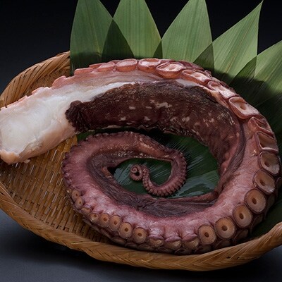 北海道産 お刺身用たこ足 極太 1 5 1 7kg前後 1本 たこ たこ足 F4f 0814 お礼品詳細 ふるさと納税なら さとふる