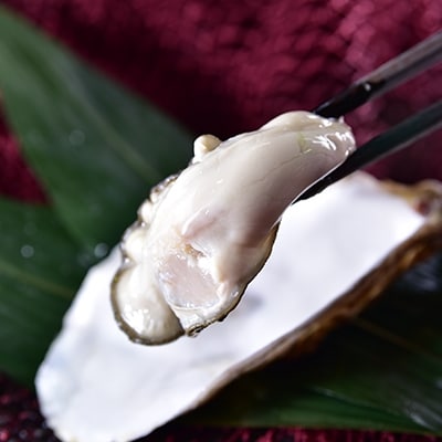鮮度抜群!釧路管内産濃厚牡蠣セット(殻付き生牡蠣大サイズ5個(1個あたり100～140g)・むき牡蛎