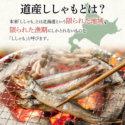 本場くしろ産 ししゃもオス・メス30尾入り! 本ししゃも 魚 ししゃも 魚介 海 F4F-9164