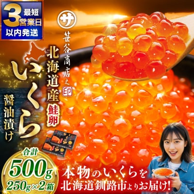 新物 北海道産いくら醤油漬250g×2箱 いくら 笹谷商店 F7F-9689