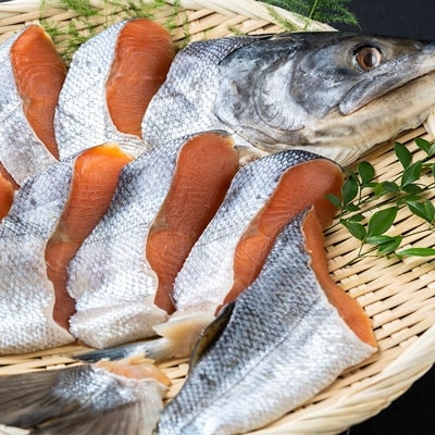 本格熟成 北海道産・秋鮭山漬(厚切切身)1尾分約2.0kg ふるさと納税 鮭 サケ F4F-0399