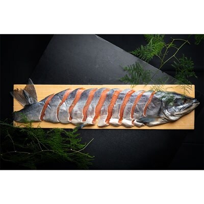 本格熟成 北海道産・秋鮭山漬(厚切切身)半身約1.0kg ふるさと納税 鮭 F4F-0369