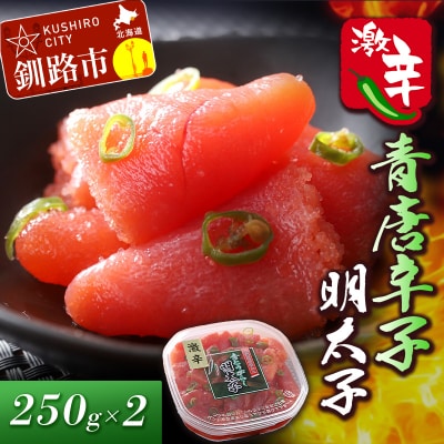 辛好き必見!!激辛 青唐辛子明太子250g×2 ふるさと納税 明太子 F4F-0478