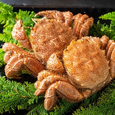 ボイル毛がに(浜茹で急速冷凍)2尾入 (2尾で1.0kg～1.2kg) 蟹 F4F-5474