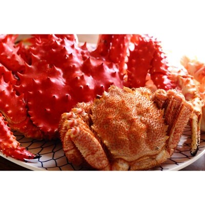 漁協厳選旬の味シリーズ 浜茹で 花咲ガニ 釧路産 500g前後 毛ガニ To101 B2 お礼品詳細 ふるさと納税なら さとふる