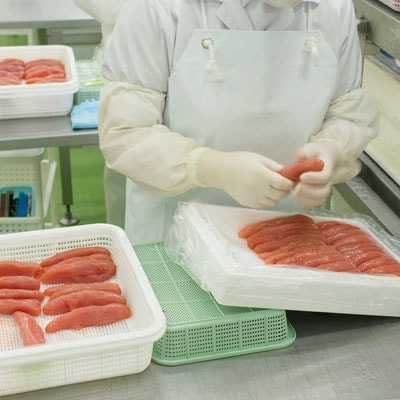 お徳用塩たら子 切れ子(600g×2個) ふるさと納税 たらこ F4F-1348