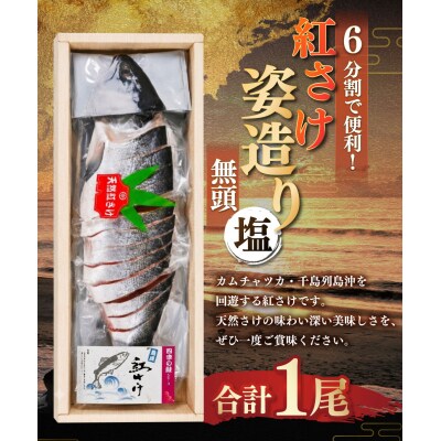 紅さけ姿造り 無頭 塩 ふるさと納税 鮭