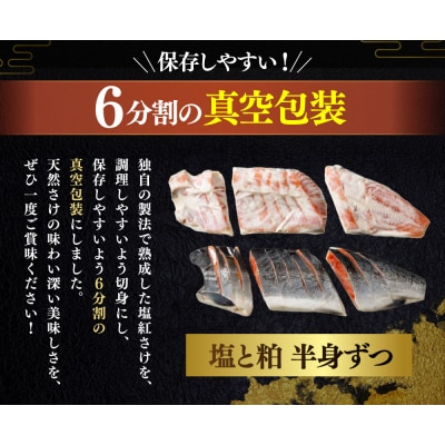 紅さけ姿造り 無頭 塩・粕 ふるさと納税 鮭