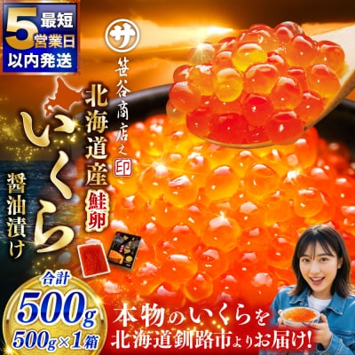 【5営業日以内発送】新物 【北海道産】いくら醤油漬け500g×1箱 いくら