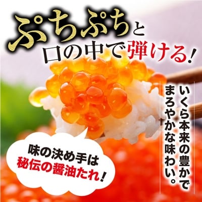 新物 【北海道産】いくら醤油漬 500g  いくら F4F-8916