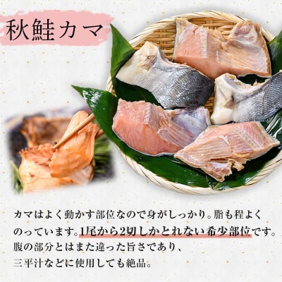 匠の厚切り マルア阿部商店特選 天然鮭 氷塩熟成食べ比べセット 秋鮭 サケ F4F-7918