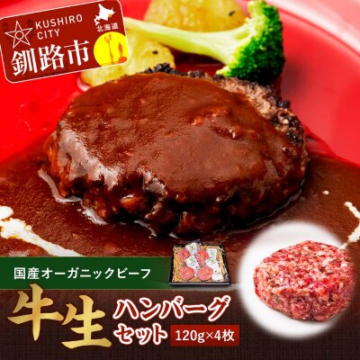 釧路生まれ、釧路育ちのオーガニックビーフ 生ハンバーグ120g&times;4枚 肉 F4F-1446