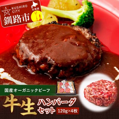 釧路生まれ、釧路育ちのオーガニックビーフ 生ハンバーグ120g×4枚 肉 F4F-1446