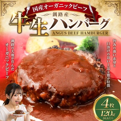 釧路生まれ、釧路育ちのオーガニックビーフ 生ハンバーグ120g×4枚 肉