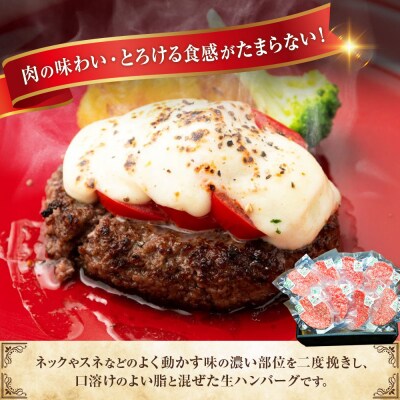 釧路生まれ、釧路育ちのオーガニックビーフ 生ハンバーグ120g×4枚 肉