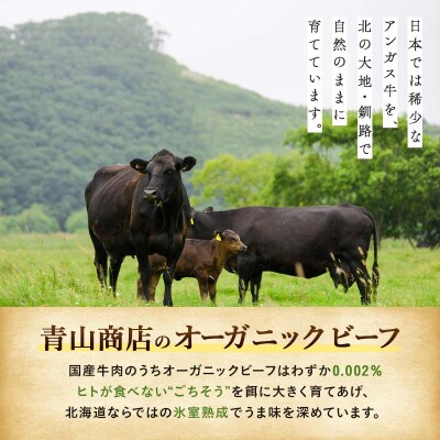 釧路生まれ、釧路育ちのオーガニックビーフ 生ハンバーグ120g×4枚 肉 F4F-1446