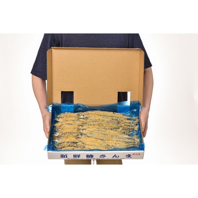 【北海道産】 新鮮糠さんま 20尾化粧箱  魚 F4F-1453