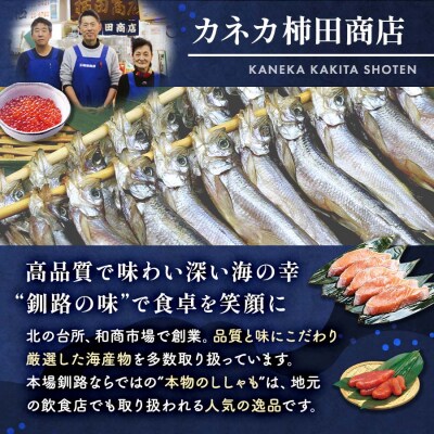 船上活じめ 釧路定置 時鮭(ときしらず・時さけ)半身 小 約600g 北海道産 F4F-1557