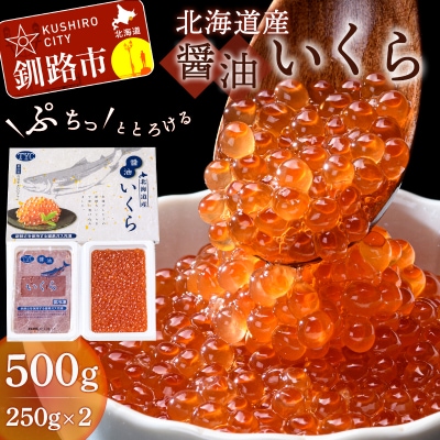 北海道産 醤油 いくら 500g 小分け 250g x2 海産 魚卵 F4F-1644