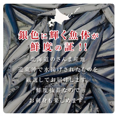 今が旬!!(鮮度抜群!!釧路産) 鮮さんま8～10尾 秋刀魚 サンマ 産地直送 F4F-0606