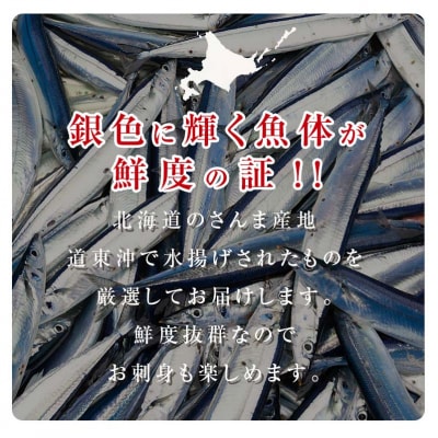 今が旬!!(鮮度抜群!!釧路産) 鮮さんま 18～20尾(約2kg)秋刀魚