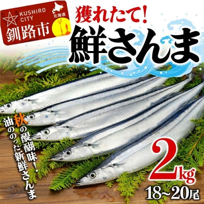 獲れたて鮮さんま 2kg (18～20尾)さんま 秋刀魚 サンマ F4F-3229