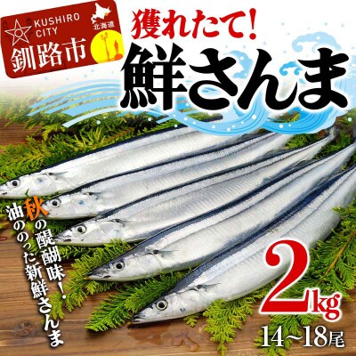 獲れたて鮮さんま 2kg(14～18尾) さんま 秋刀魚 サンマ 新鮮 魚 鮮魚 海産物 旬 北海道
