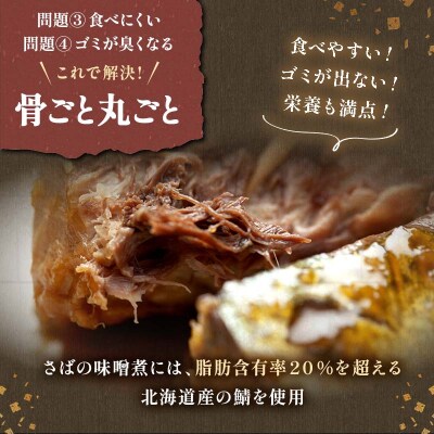 釧路おが和 北の煮魚セット 常温保存 小分け 常温 備蓄 海鮮 海産 魚 煮魚 F4F-2470