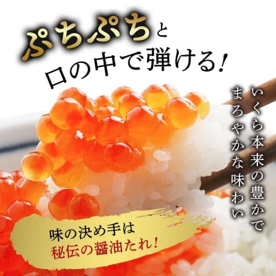 北海道産 いくら 250g×10個 2.5kg F4F-5715