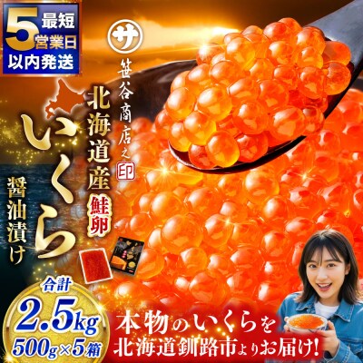 【5営業日以内発送】北海道産 いくら (鮭) 500g×5箱 2.5kg