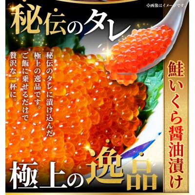 北の味覚海鮮3点セット いくら250g サーモン400g ほたて500g 海鮮 F5F-0096