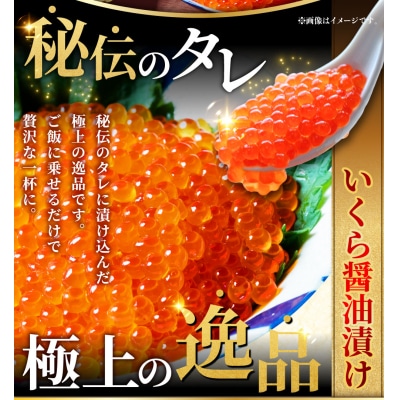 北の味覚海鮮3点セット 天然厚切り紅鮭3切×3パック サーモン400g ほたて500g 海鮮 