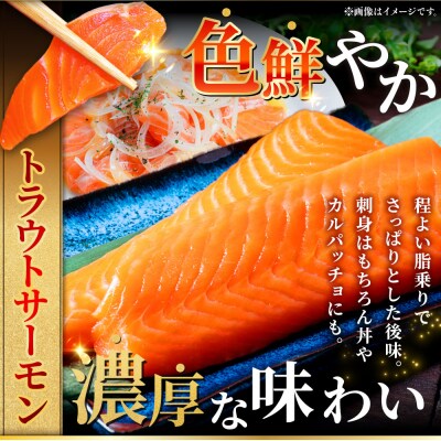 北の味覚海鮮3点セット いくら250g サーモン400g ほたて500g 海鮮 F5F-0096