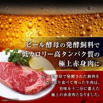 【これぞ北海道産 赤身肉】阿寒モルト牛サーロインステーキA 約200g×3枚