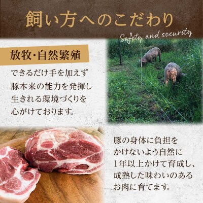 【放牧豚】肩ロースかたまり 1.5kg以上 肉 豚肉 ロース ブロック肉 北海道 F4F-2235