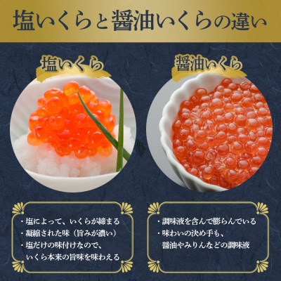 【北海道産】笹谷商店の塩いくら 500g いくら F4F-5784