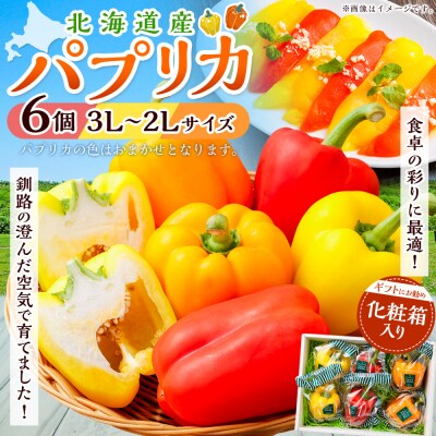パプリカ 3Lまたは2Lサイズ×6個 【2026年10月下旬迄発送】